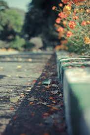 Inspired By Flickr Explored In 2021 Blurred Background Photography Blur Background Photography Landscape Photography Nature