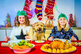 Once cooked, the apples become soft. Can Dogs Eat Christmas Dinner Vet Explains What Pets Can And Can T Have Mirror Online