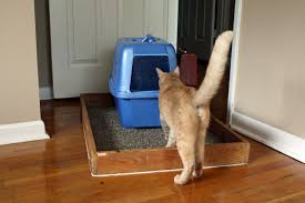 Make Your Own Litter Box Holder Cat Training Litter Box Litter Box Litter