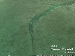 Small Vessels Boats Threaten Shallow Water Habitats In