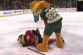 The minnesota wild unveiled their mascot, named nordy, on october 5, 2008. Wild Mascot Batters Blackhawks Rival In Skit Team Gets Black Eye