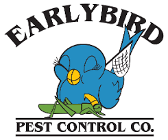 Do it yourself pest control. Can I Do Pest Control Myself Early Bird Pest Control