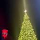 Merrysville for the Holidays event image