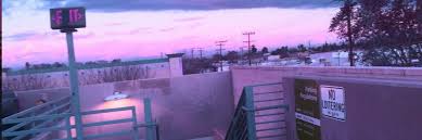 This isn't always successful, of course; Your Icon Archive Purple Twitter Headers Like Reblog If You Save