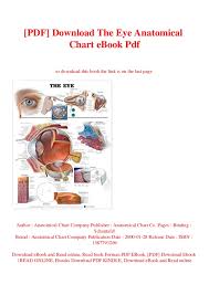 Pdf Download The Eye Anatomical Chart Ebook Pdf