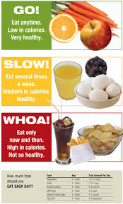 Healthy Eating By Veenuka Vithiyananthan Infographic