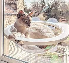 My cat loved staring out the window. Pecute Cat Window Perches Newest Design Cats Hammock Window Mounted Bed Sunny Seat Kitten Hanging Bed Bubble Looking Stu Hamac Chat Hamac Animal Domestique