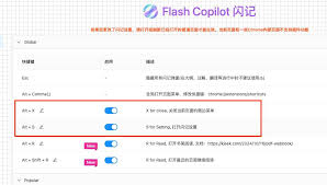 使用教程- Flash Copilot 闪记— 超级浏览器助手，DeepSeek 强力驱动