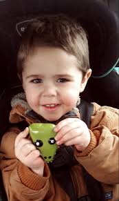 found rock at william street park corner madden street in tas