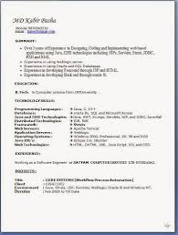 How To Write The Resume Sample Template Example Of Excellentcv Resume Curriculum Vitae With Career Object Technology Skills Resume Format Web Technology