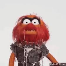 Muppet songswant more muppet songs? Gif Image Popular Muppets Animal Playing Drums Gif