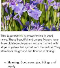 More on meaning of flower colors in white are symbolic of Is There Any Symbolism In Attack On Titan Quora