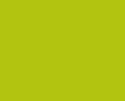 3m Series 100 449 Lime Green