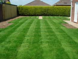 What are the benefits of lawn aeration? Prepare Your Lawn For Next Year Now Old Town Alexandria Va Patch