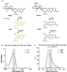Facebook gives people the power to share and makes the world more open and connected. Absorbance And Fluorescence Profiles Of Hmu And Chmu A Chemical Download Scientific Diagram