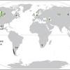 In this article you'll find a list of the world's rain forests. Https Encrypted Tbn0 Gstatic Com Images Q Tbn And9gcsx6q Uiecplhzcnrfcps8ss Tgsix7wvpjnhbp5kprfhvt1xgn Usqp Cau