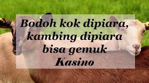 Check spelling or type a new query. 15 Kata Kata Sindiran Lucu Dan Nyinyir Kepogaul
