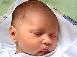 Aaron Pecho's Instagram, Twitter & Facebook