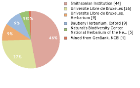 Image result for Trichoscypha lucens