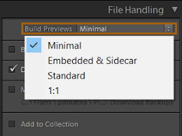 So now lightroom can use those embedded previews that already exist. How To Specify Import Options In Lightroom Classic