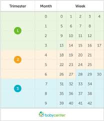 Calculadora Gestacional De Meses Para Semanas Pin Auf Babymia
