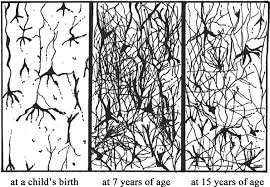 Cartoons' Effect in Changing Children Mental Response and Behavior