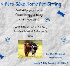 At for pet's sake grooming, your dog will be taken care of by a great staff that has a passion for making your dog looks its best. Helederberg Strand Western Cape 4 Pets Sake Home Pet Grooming And Well Being Petbacker Western Cape