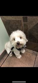 Maybe you would like to learn more about one of these? Lancaster Pet Clinic 21 Photos 76 Reviews Veterinarians 2060 W Ave K Lancaster Ca Phone Number