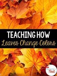 Integrating Science Into Fall Teaching Elementary Nest Fall Science Activities Leaf Lesson Plans Leaf Lessons