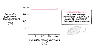 Endotherms Ectotherms Article Khan Academy