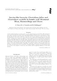 They have a cortex and protein coat. Pdf Sarcina Like Bacteria Clostridium Fallax And Clostridium Sordellii In Lambs With Abomasal Bloat Haemorrhage And Ulcers Merete Hofshagen Academia Edu