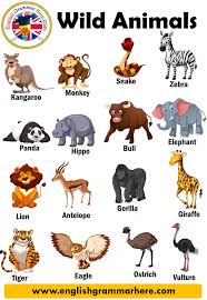 Wild Animals Definition And Examples English Grammar Here Wild Animals List Animals Wild List Of Animals