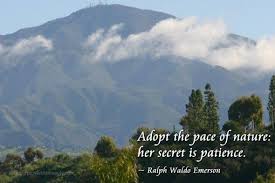 Ralph Waldo Emerson Quote Of The Day Patience Ralph Waldo Emerson Quotes