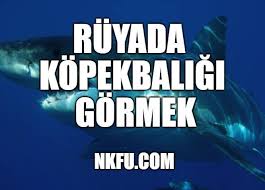 Ruyada Kopekbaligi Gormek Ne Anlama Gelir Kopekbaligi Saldirisi Nkfu