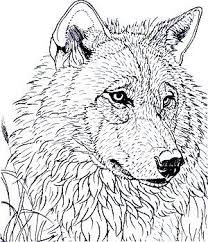 It's easy to get quiet and contemplate these symbolisms t… Wolf Adult Coloring