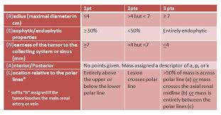 R E N A L Nephrometry Scoring System