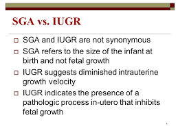 The Small For Gestational Age Infant Ppt Video Online Download