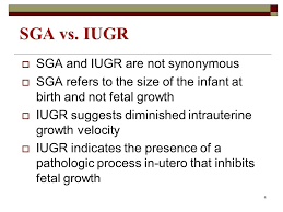 the small for gestational age infant ppt video online download