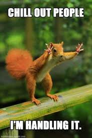 38 Super Funny Animal Pics Animal Captions Funny Animal Pictures Funny Animals