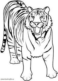 Tiger Coloring Pages For Kids Preschool And Kindergarten Zoo Animal Coloring Pages Animal Coloring Pages Tiger Drawing For Kids
