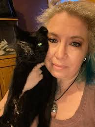 Dweezil the cat's rough day in hot weather