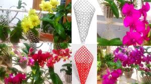 Many varieties of colorful and unusual orchids are easy to grow. Orchid Orchid Hanging Pot Beautiful Orchid Garden At Home Cone Net Pots Youtube