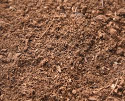 Sphagnum moss is useful for a variety of gardening and crafting purposes, however, its higher cost and less diverse organic matter make it a better fit for speciality. Organic Sphagnum Peat Moss For Sale Perfect Plants Nursery