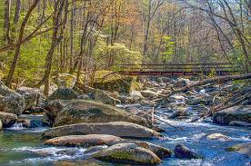 Darlene A. Kissner Obituary July 13, 2022