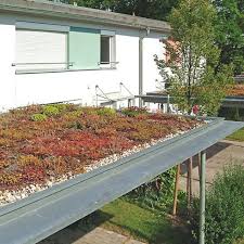 Eine Dachbegrunung Auf Nebengebauden Wie Carports Garagen Oder Schuppen Konnen Mit Den Grundach Paketen Von Baud Dachbegrunung Carport Extensive Dachbegrunung