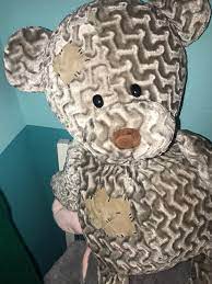 Adara bears it beautifully 9:42. Pin By Adara Joiner On My Story Teddy Bear Teddy Animals