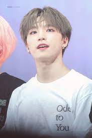 Watch popular content from the following creators: Lee Chan Pics On Twitter Dino Seventeen Seventeen Kpop Seventeen