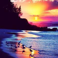 Sunset At Rainbow Bay Beach Thisisqueensland Instagram Photo By Jewelszee Beautiful Sunset Sunset Beautiful Nature