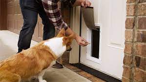 Study and learn to train dogs. Install A Pet Door