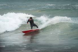 Image result for foto surfínie
